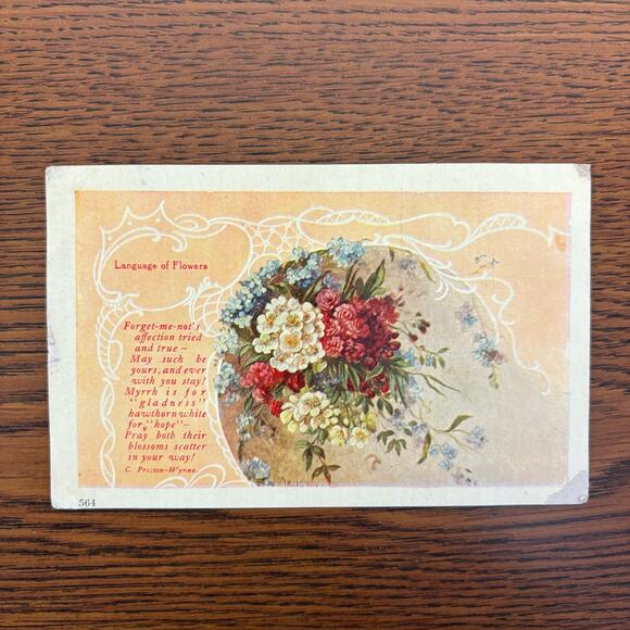 Antique Postcards Flowers Nature Lot of 5 Early 1900s Embossed Gilt Floral - Picture 8 of 16